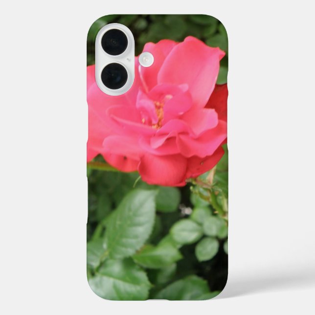 Wilde Rose iPhone 16 Hülle (Rückseite)