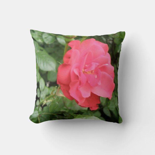 Wilde Rose Kissen (Vorderseite)