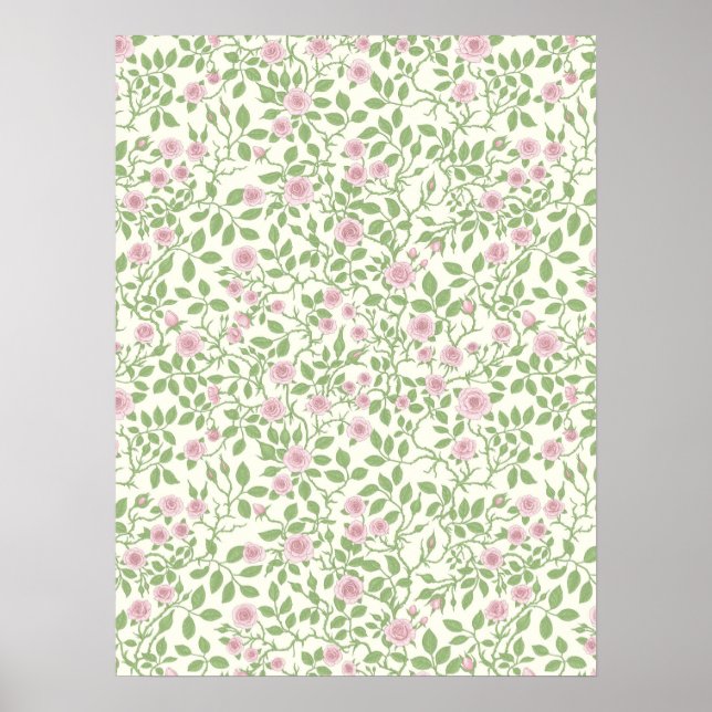Wilde Rose Poster (Vorne)