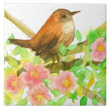 Wilde Rose Rosa Blume Botanischer Wren Bird
