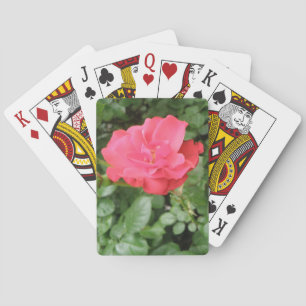 Wilde Rose Spielkarten