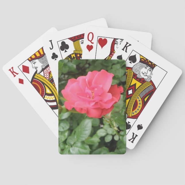 Wilde Rose Spielkarten (Rückseite)