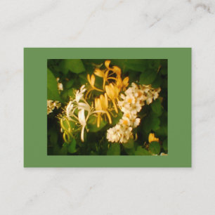 Wilde Rose und Honeysuckle Visitenkarte
