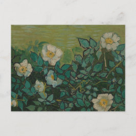 Wilde Rose von Vincent Van Gogh Postcard Postkarte