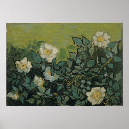 Wilde Rose von Vincent van Gogh Poster
