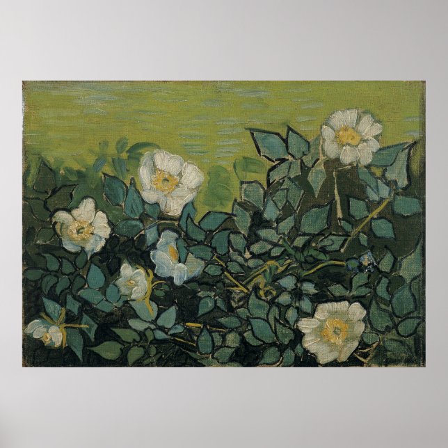 Wilde Rose von Vincent Van Gogh Poster (Vorne)