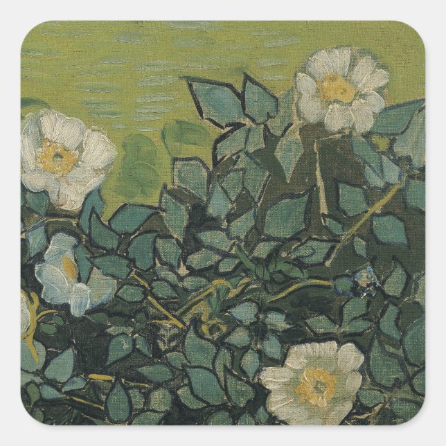 Wilde Rose von Vincent van Gogh Quadratischer Aufkleber (Vorderseite)