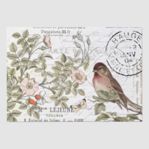 Wilde Rosen Postkarte Songbird Französisches Skrip Seidenpapier