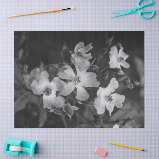 Wilde Rosen  Seidenpapier (Basteln)
