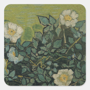Wilde Rosen von Vincent van Gogh Quadratischer Aufkleber