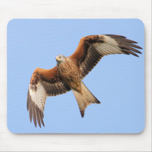 Wilde rote Drachen Mousepad