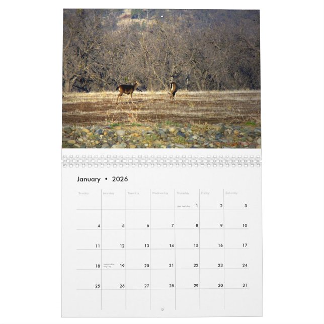 Wilde Sache 2014 Kalender (Jan 2026)