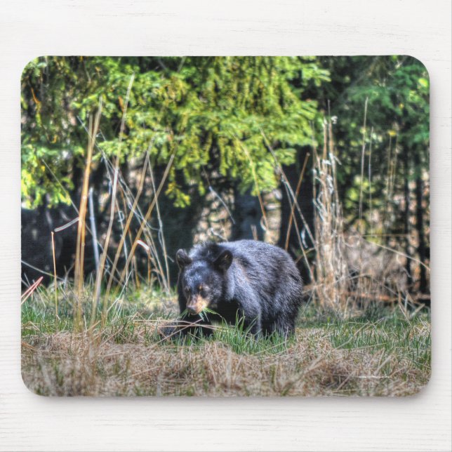 Wilde Schwarzbären-Cub & Forest Wildlife Foto #Gif Mousepad (Vorne)