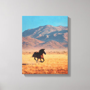 Wilde Schwarze Pferd Helle Wüstenkunst Leinwanddruck