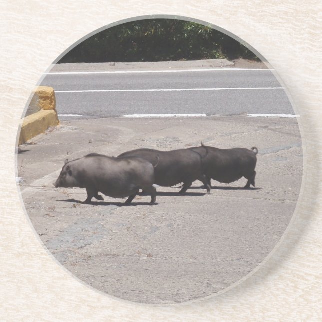 Wilde schwarze Schweine Sandstein Untersetzer (Vorne)
