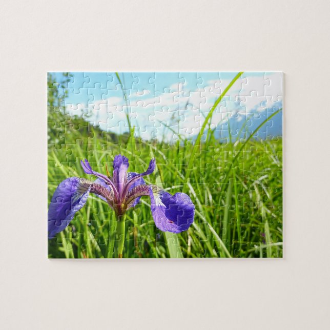 Wilde Schwertlilie und alaskische Landschaft (Horizontal)