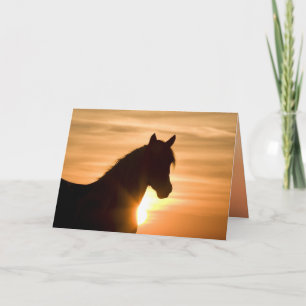 Wilde Silhouette Wildes Pferd Grußkarte Karte