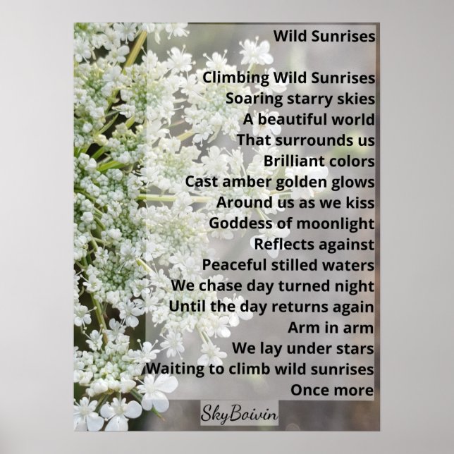 Wilde Sonnenaufgänge Poster (Vorne)