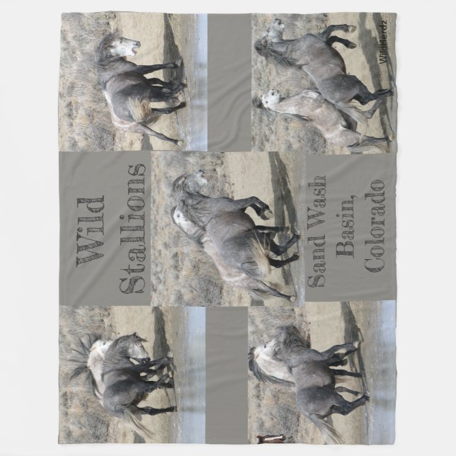 Wilde Stallions des Sand-Waschbeckens Fleecedecke (Vorderseite)
