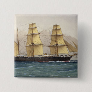 Wilde Swan, 1906 Button