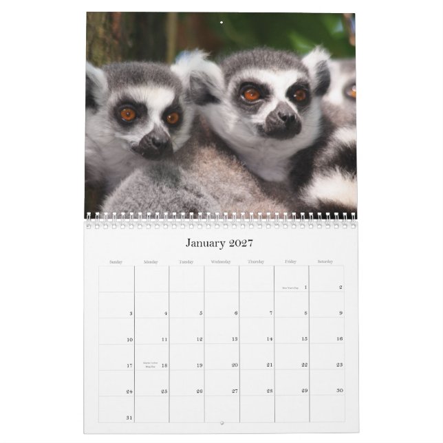 Wilde Tier-Kalender 2012 Kalender (Jan 2027)