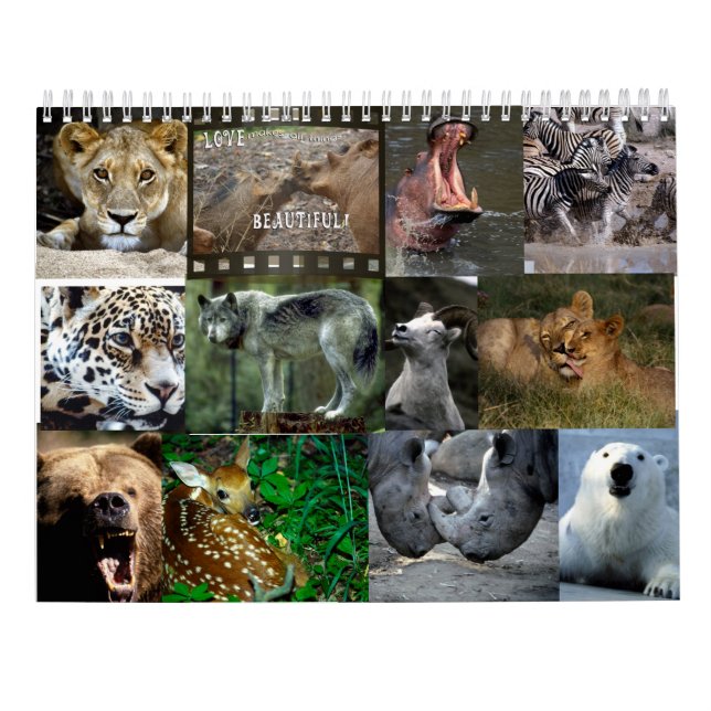 WILDE TIER-KALENDER KALENDER (Rückseite)