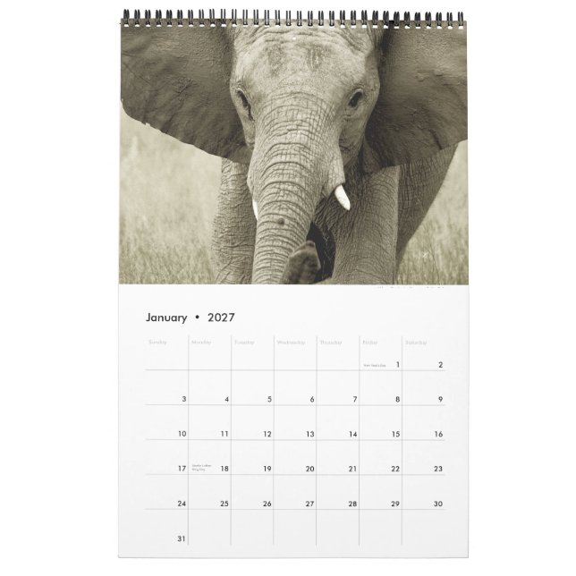 Wilde Tiere Afrika-Safari 2012 Kalender (Jan 2027)