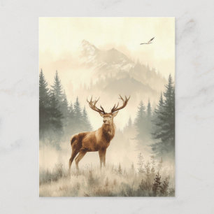 Wilde Tiere Alaskas. Rentiere.. Postkarte
