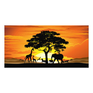 Wilde Tiere auf der afrikanischen Savanne bei Sonn Fotodruck