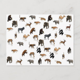 Wilde Tiere Postkarte