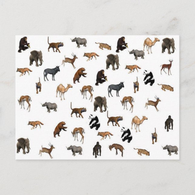 Wilde Tiere Postkarte (Vorderseite)