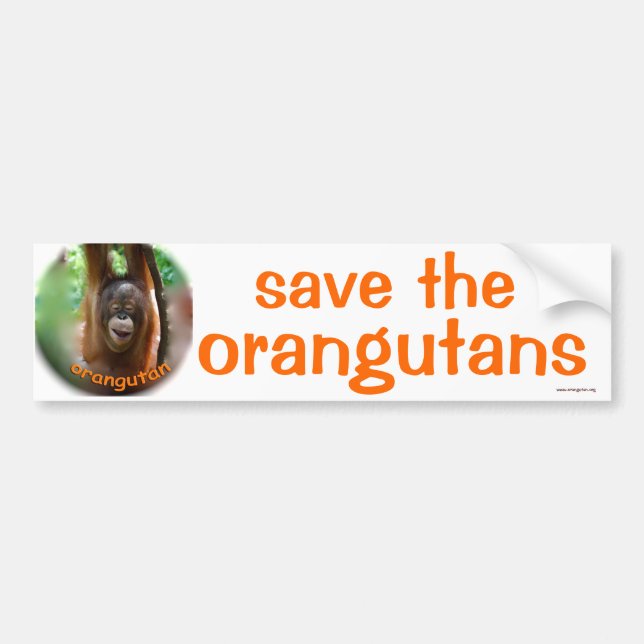 Wilde Tiere: retten Sie den Orang-Utan Autoaufkleber (Vorne)