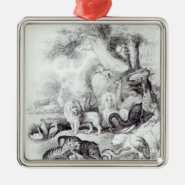 Wilde Tiere von 'einer Geschichte der Erde Silbernes Ornament (Vorne)