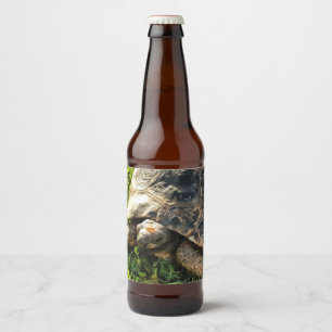 Wilde Tortoise im Gras Wiesen Kunst, Dichtung und Bierflaschenetikett