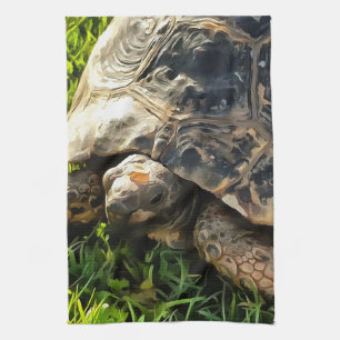 Wilde Tortoise im Gras Wiesen Kunst, Dichtung und  Geschirrtuch