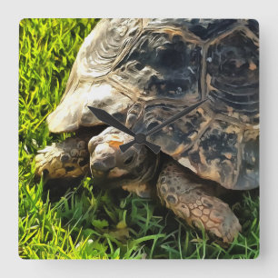 Wilde Tortoise im Gras Wiesen Kunst, Dichtung und Quadratische Wanduhr