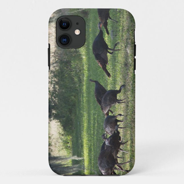 Wilde Truthähne auf dem Gras-Foto Case-Mate iPhone Hülle (Rückseite)