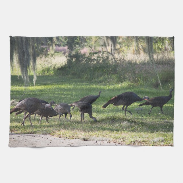 Wilde Truthähne auf dem Gras-Foto Geschirrtuch (Horizontal)