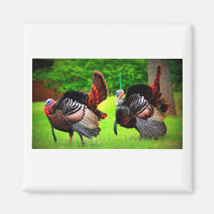 Wilde Truthähne dekoriert Magnet