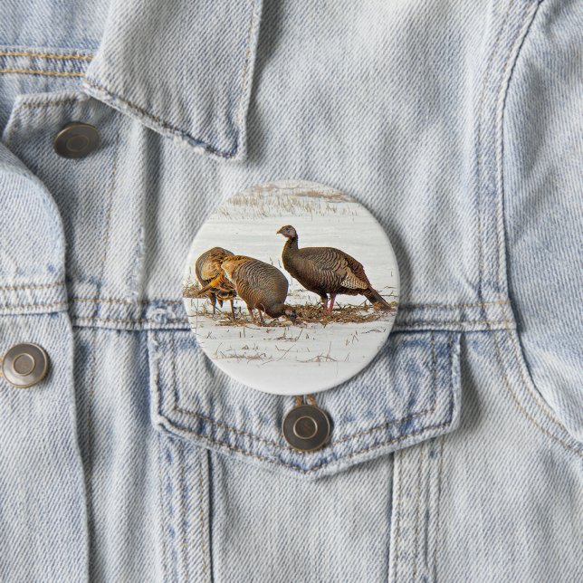 Wilde Truthähne im Schnee Button (Beispiel)
