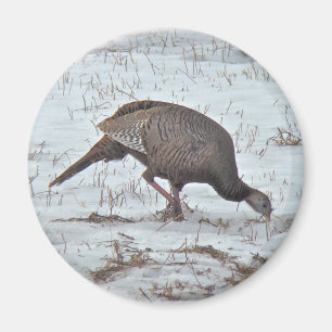 Wilde Türkei auf dem Snowy Field Magnet