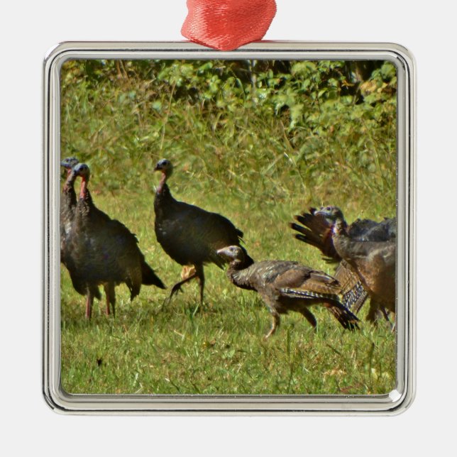 Wilde Türkei, Camouflage Farben Ornament Aus Metall (Vorne)