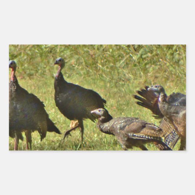 Wilde Türkei, Camouflage Farben Rechteckiger Aufkleber (Vorderseite)
