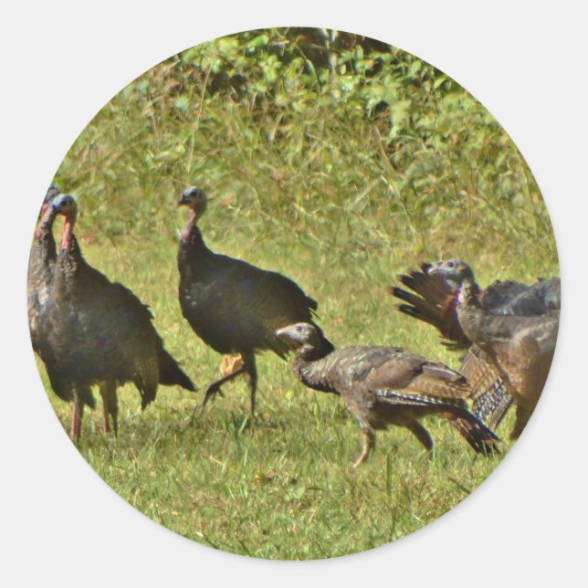 Wilde Türkei, Camouflage Farben Runder Aufkleber (Vorderseite)