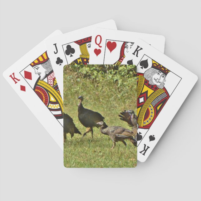 Wilde Türkei, Camouflage Farben Spielkarten (Rückseite)