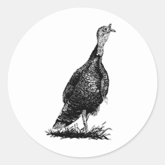 Wilde Türkei (line art) Runder Aufkleber (Vorderseite)