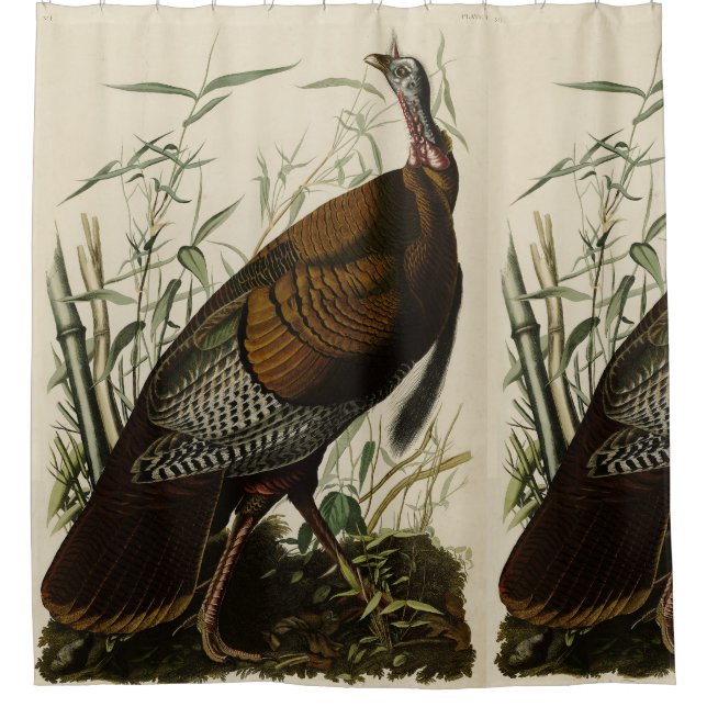 Wilde Türkei (männlich) von Audubons Vögeln Amerik Duschvorhang (Vorderseite)