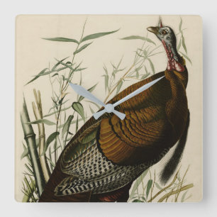 Wilde Türkei (männlich) von Audubons Vögeln Amerik Quadratische Wanduhr