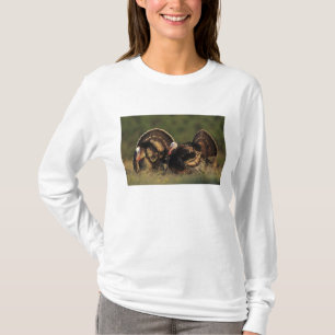 Wilde Türkei, Meleagris gallopavo, Männchen T-Shirt