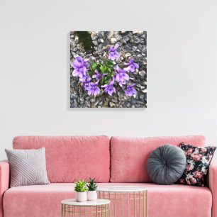 Wilde Viola-Blume, die aus einer rauen Gusswand wa Leinwanddruck